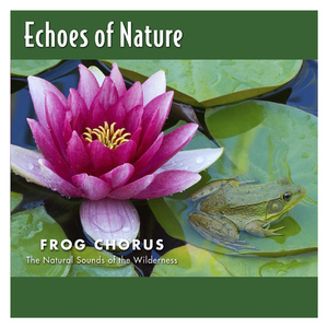 授索现代人A片三饭
